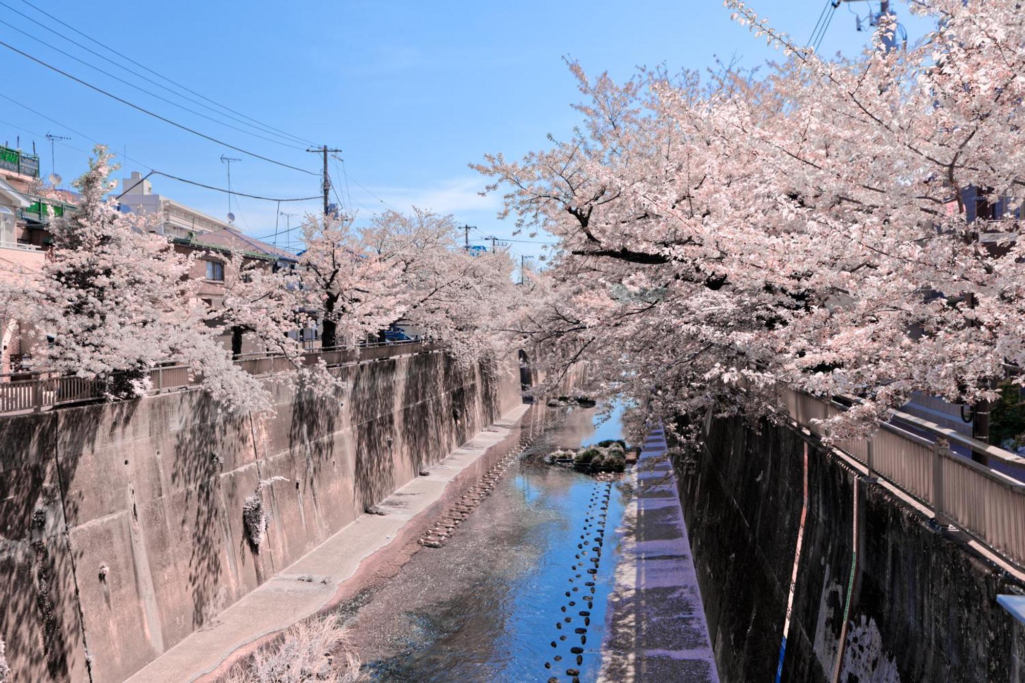 Calm Riverside Inn Close To Ikebukuro 東京都 外观 照片